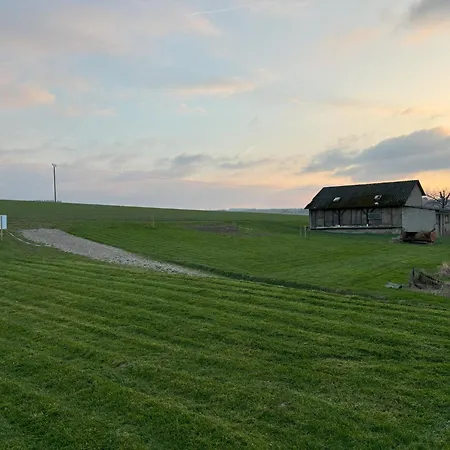 Streamatze Auf Whiskey's Farm * Kleinich