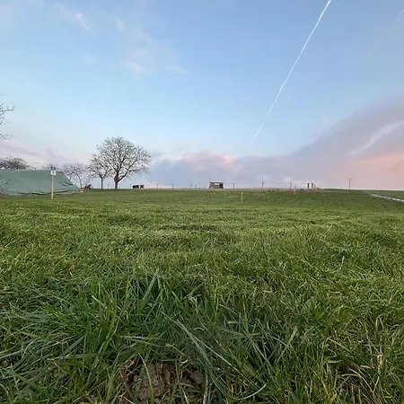 Streamatze Auf Whiskey's Farm Kleinich