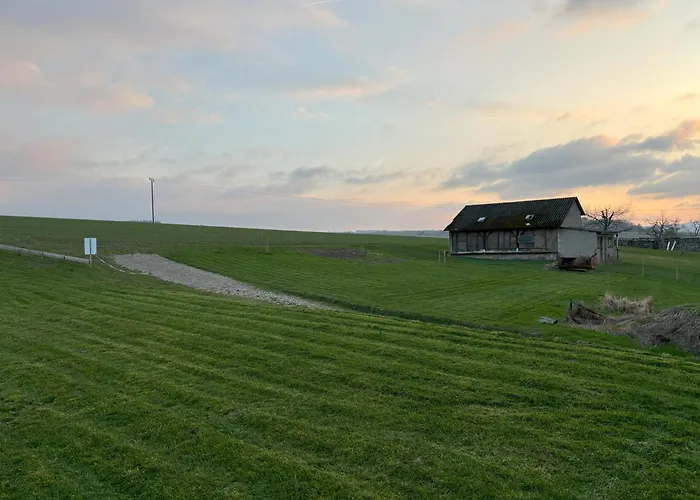 Streamatze Auf Whiskey's Farm * Kleinich